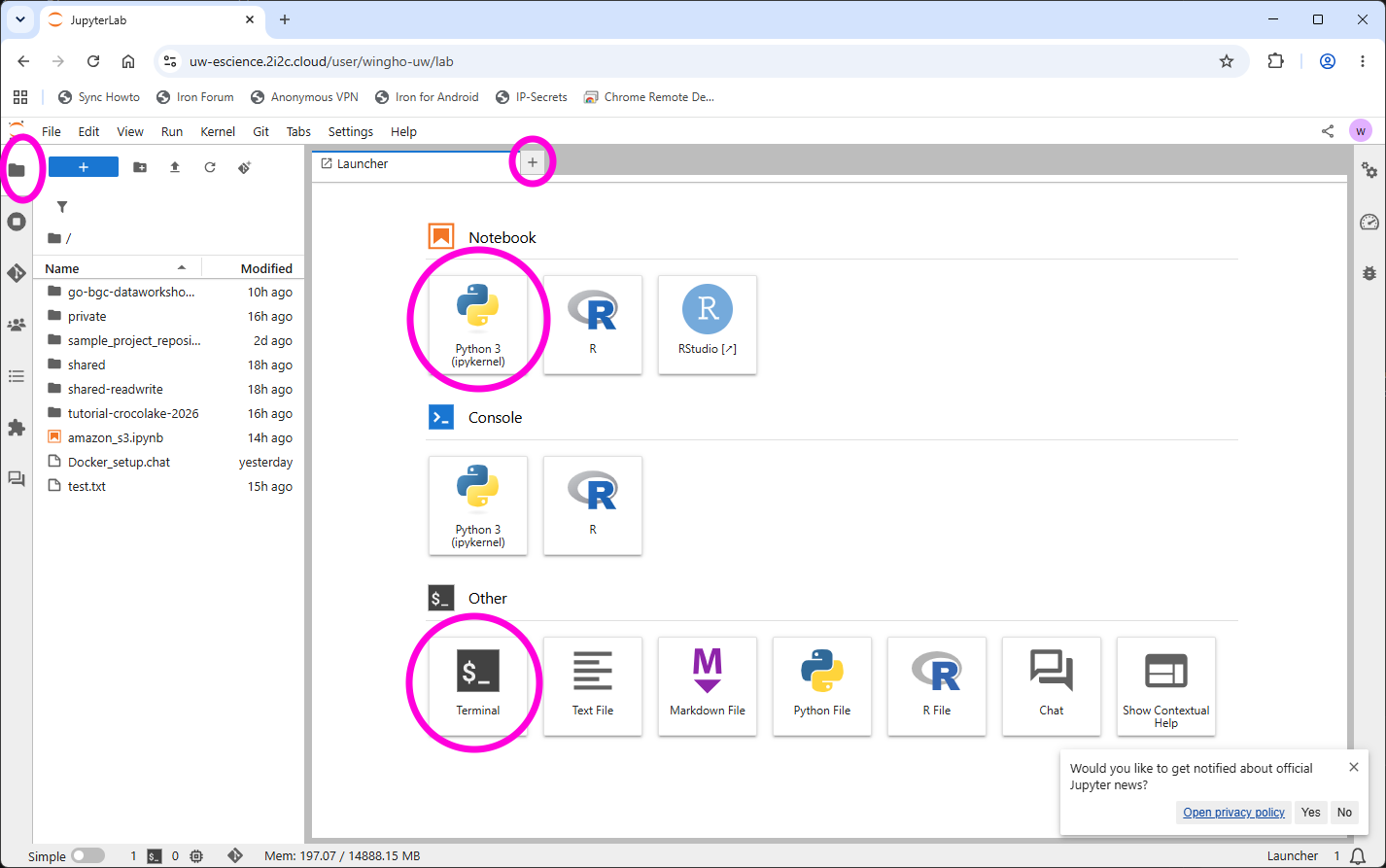 JupyterLab interface